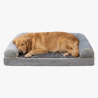 Panier pour Chien Orthopédique Rectangulaire avec Rebords