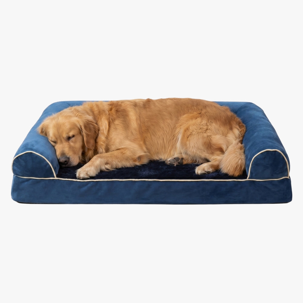Panier pour Chien Orthopédique Rectangulaire avec Rebords