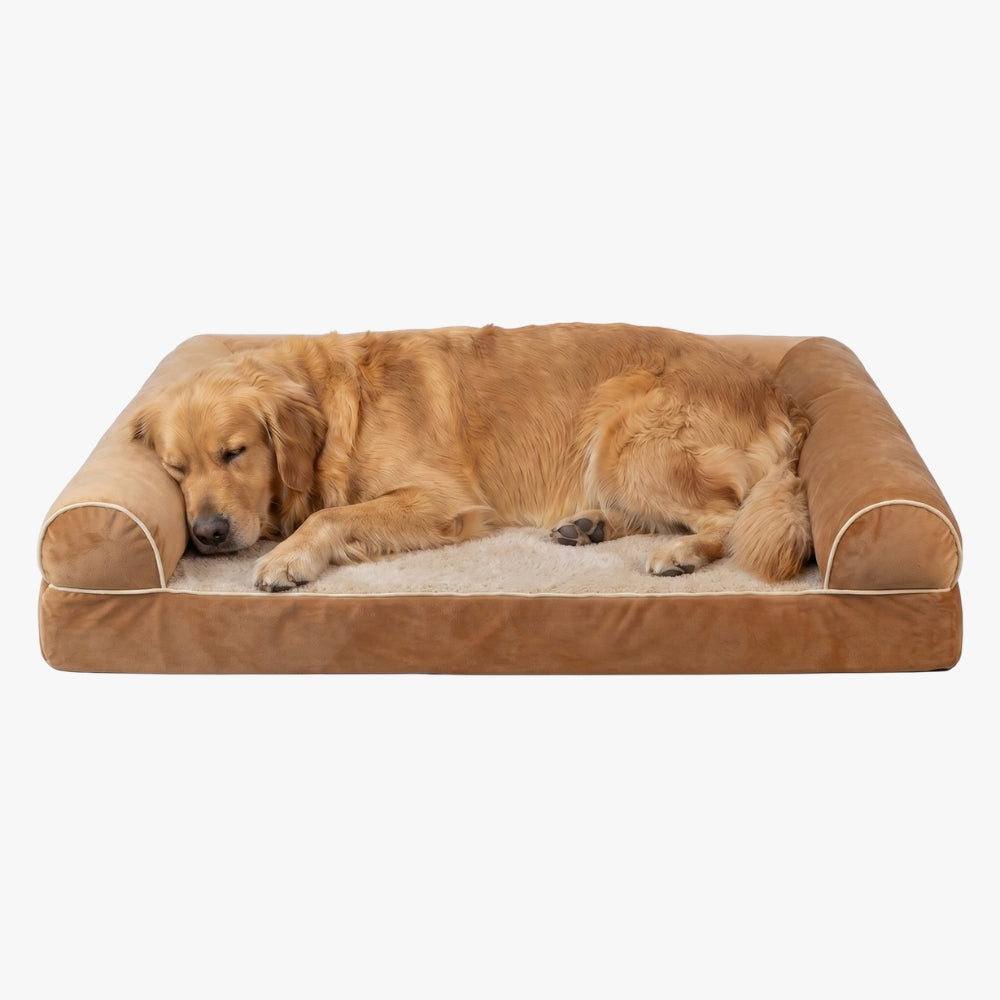 Panier pour Chien Orthopédique Rectangulaire avec Rebords