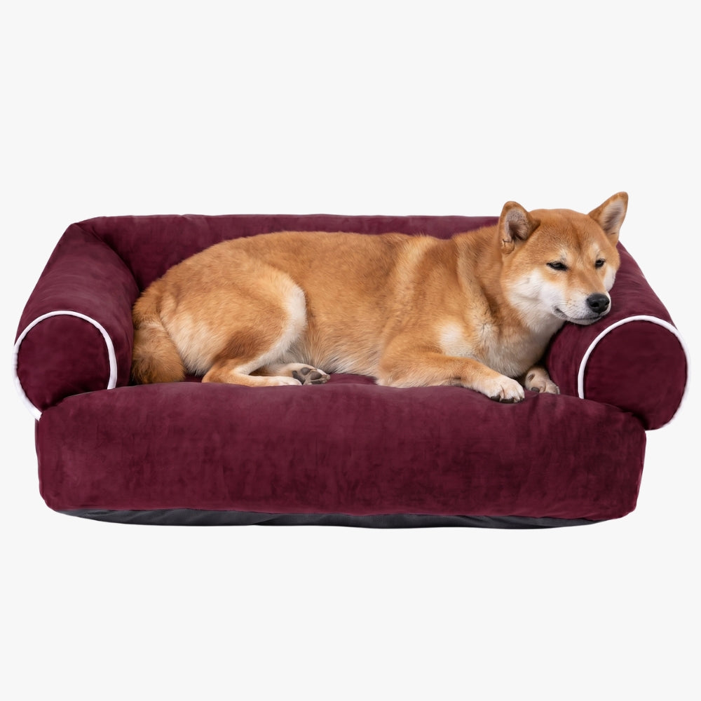 Panier Canapé pour Chien Moelleux en Coton