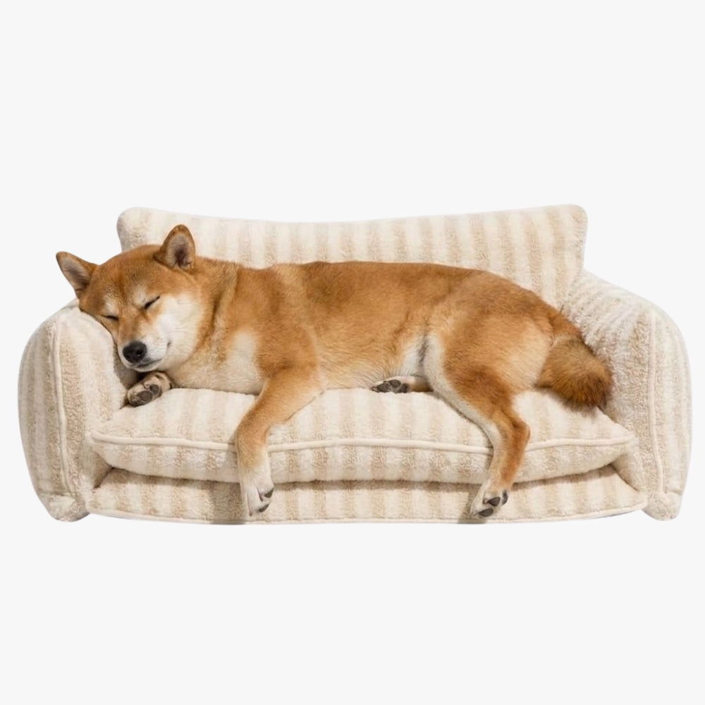 canape-orthopedique-pour-chien-rayures-beige