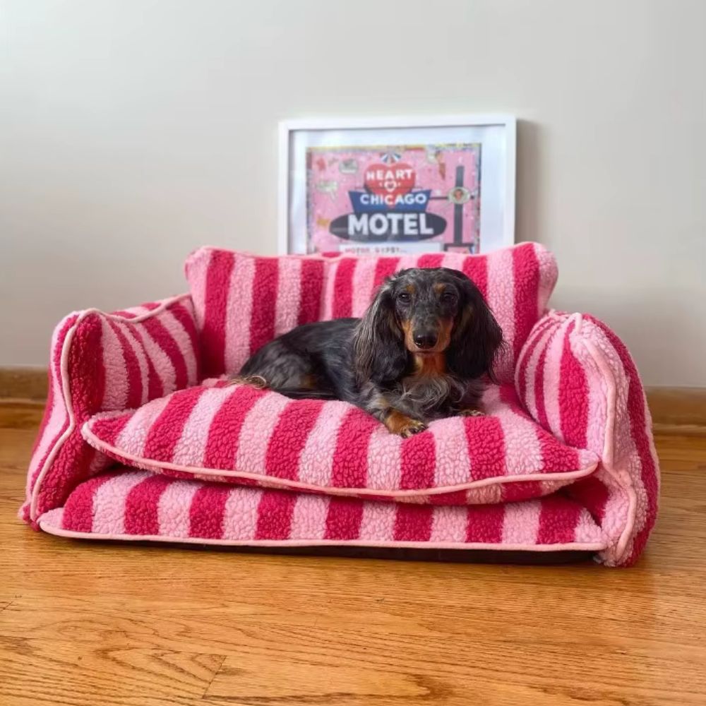 canape-orthopedique-pour-chien-rayures-rouge-situation-petit