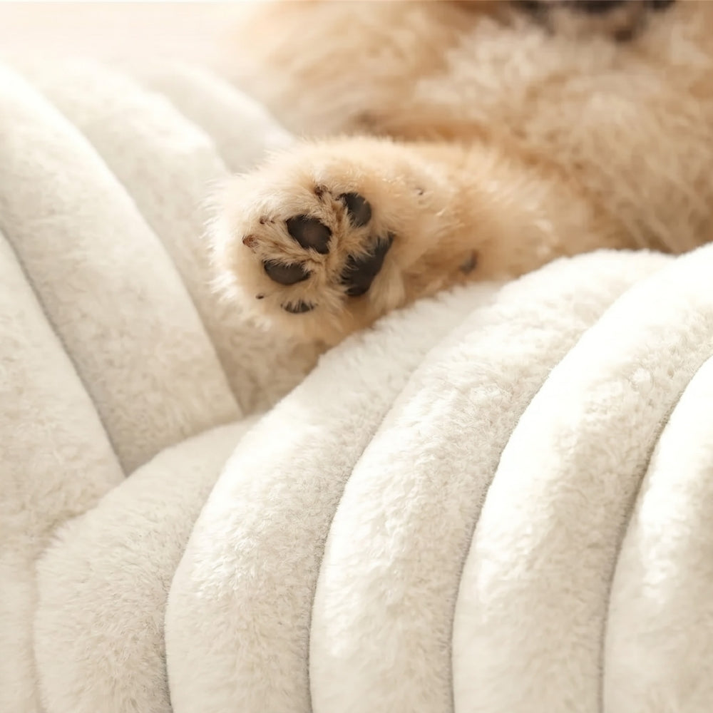 canape-pour-chien-moelleux-cotele-closeup
