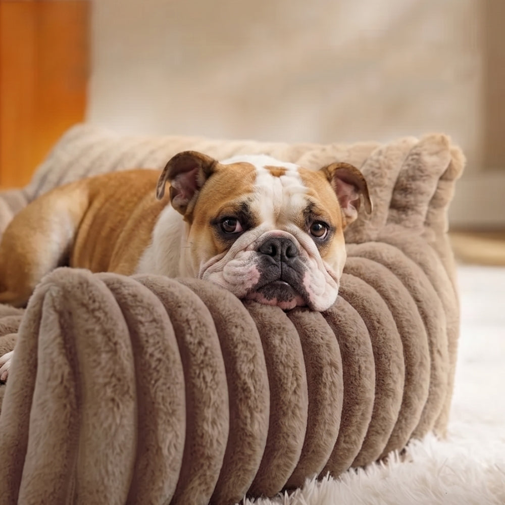 canape-pour-chien-moelleux-cotele-situation-marron