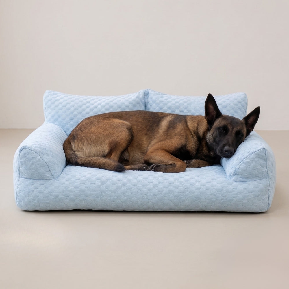 canape-pour-chien-rafraichissant-bleu-situation
