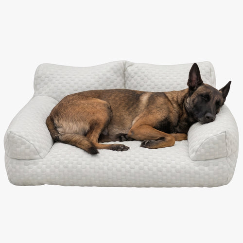 canape-pour-chien-rafraichissant-gris-clair