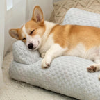 canape-pour-chien-rafraichissant-gris-situation