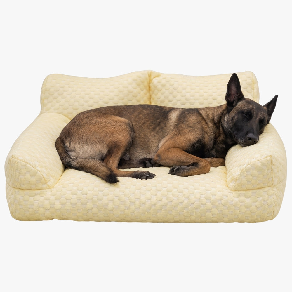 canape-pour-chien-rafraichissant-jaune