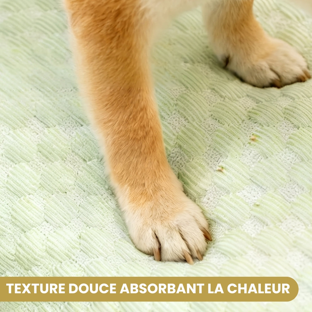 canape-pour-chien-rafraichissant-texture