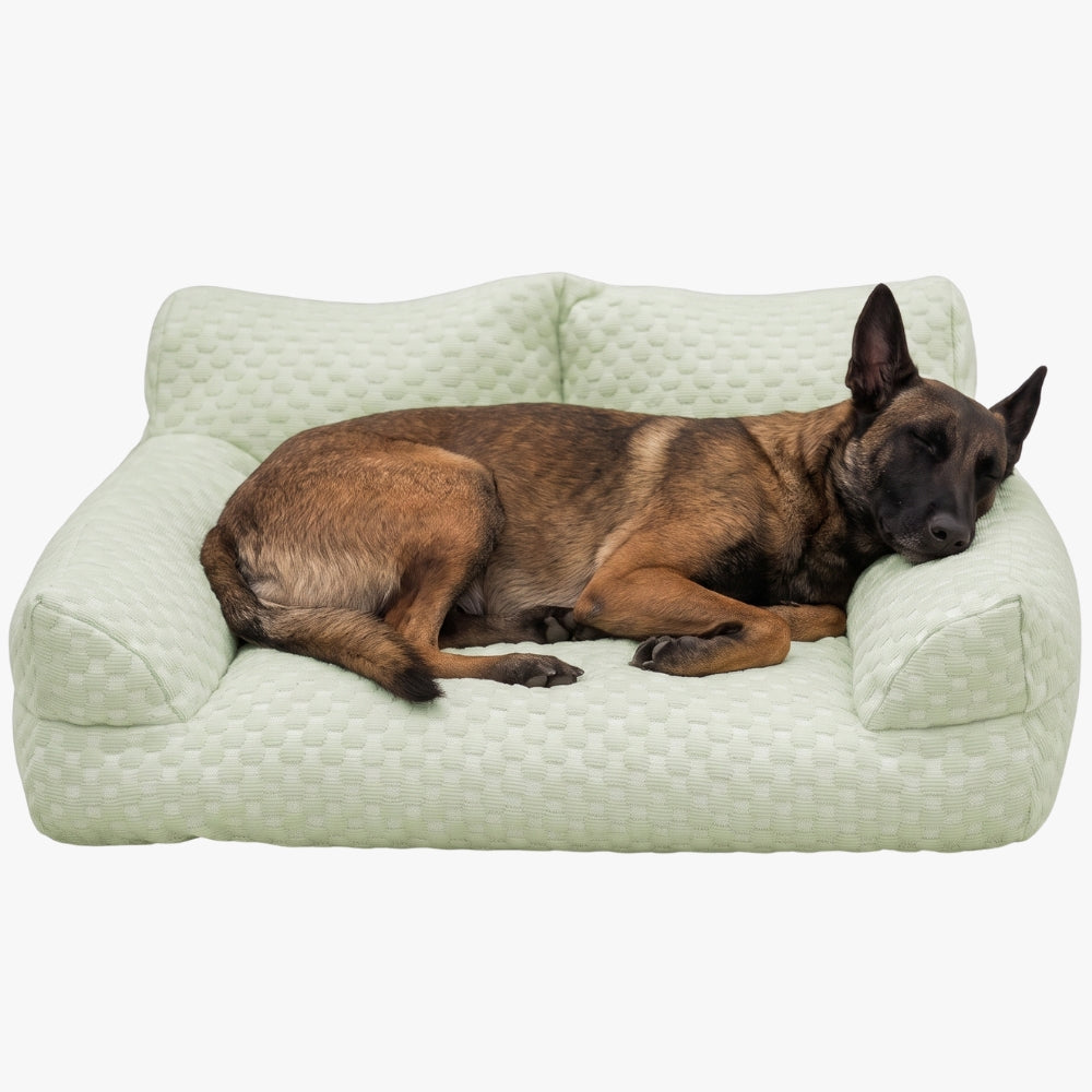canape-pour-chien-rafraichissant-vert