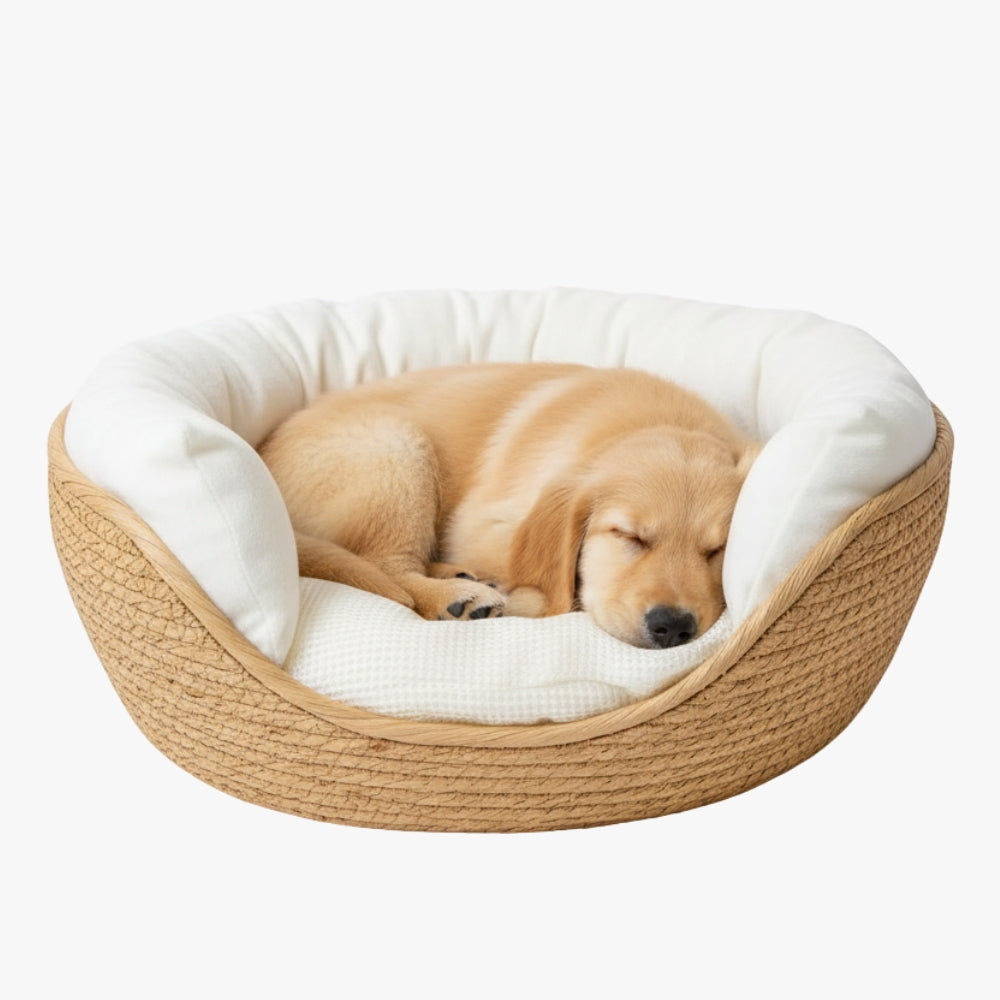 corbeille-pour-petit-chien-tressee