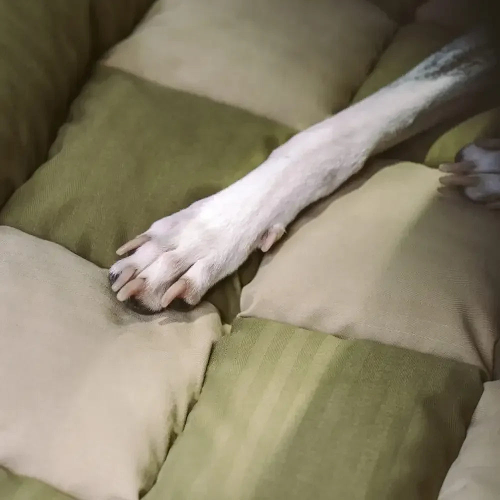 coussin-pour-banquette-arriere-pour-chien-texture