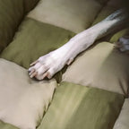 coussin-pour-banquette-arriere-pour-chien-texture