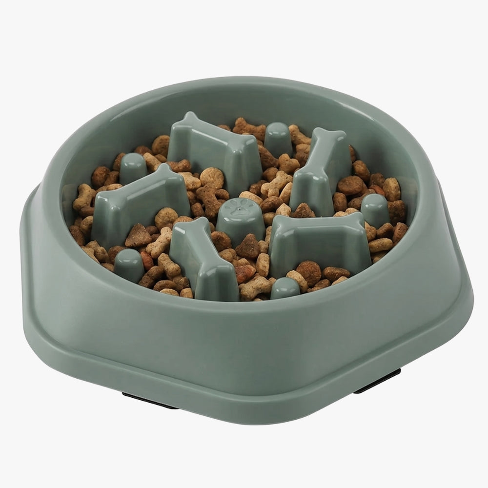 gamelle-anti-glouton-pour-chien-motif-os-vert