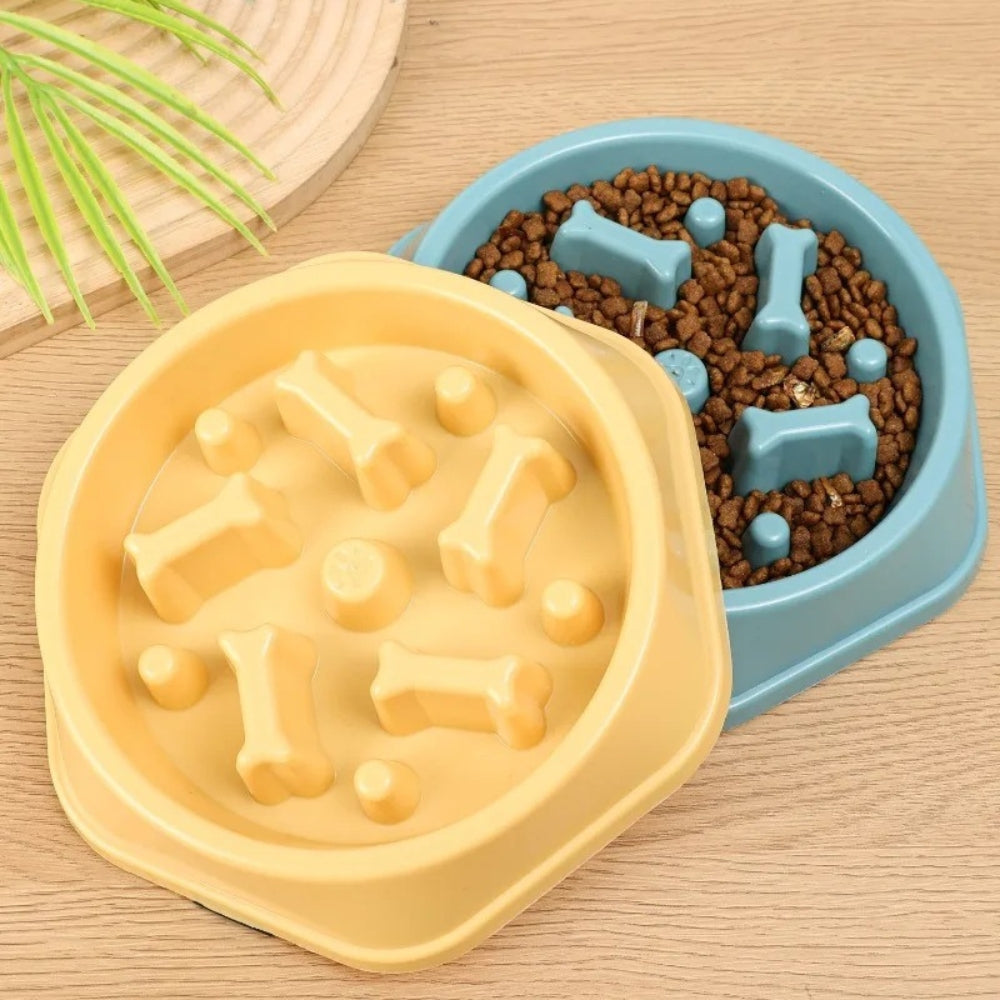gamelle-anti-glouton-pour-chien-motif-situation
