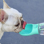 gourde-pour-chien-canigourde-situation-3