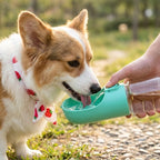 gourde-pour-chien-canigourde-situation