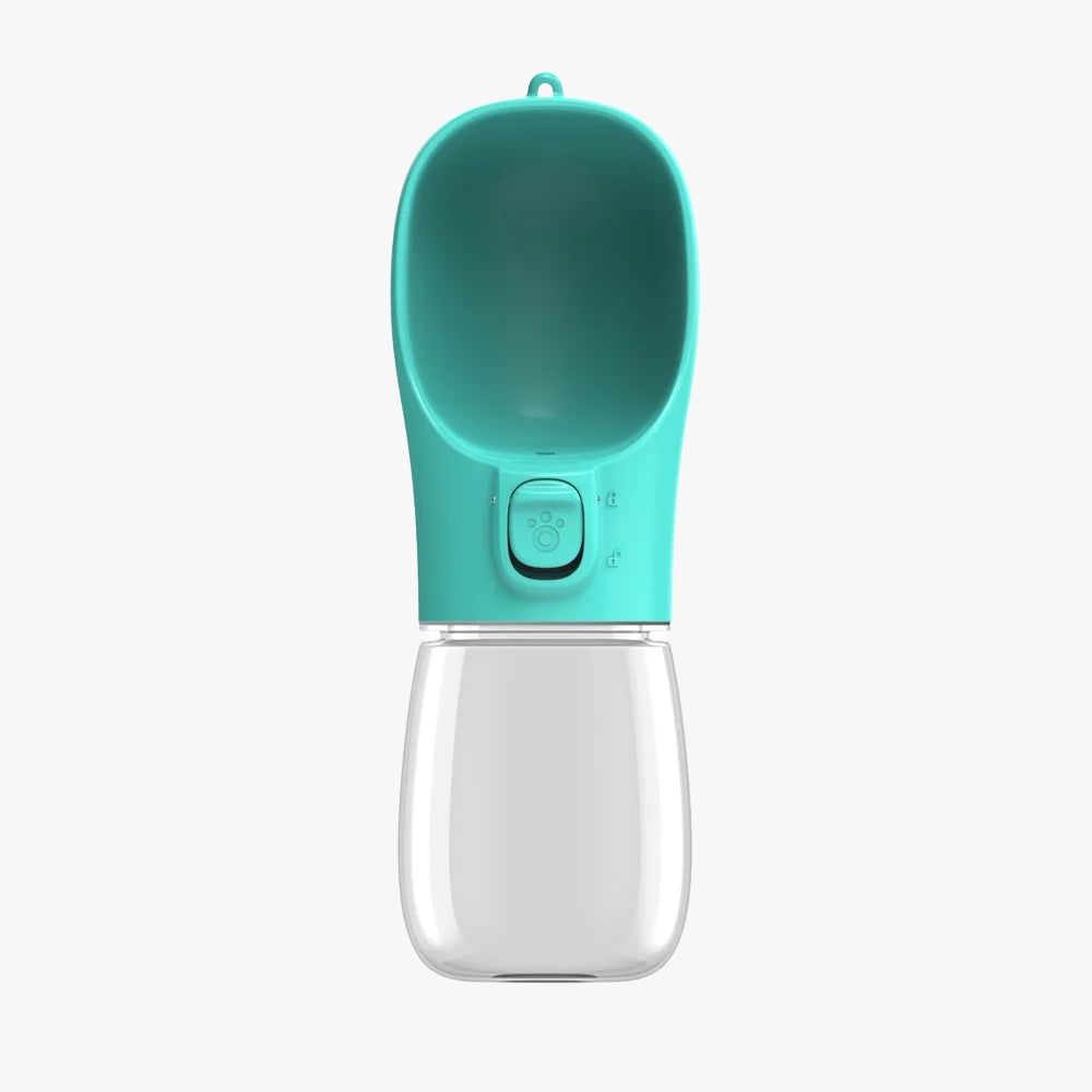 gourde-pour-chien-canigourde-turquoise