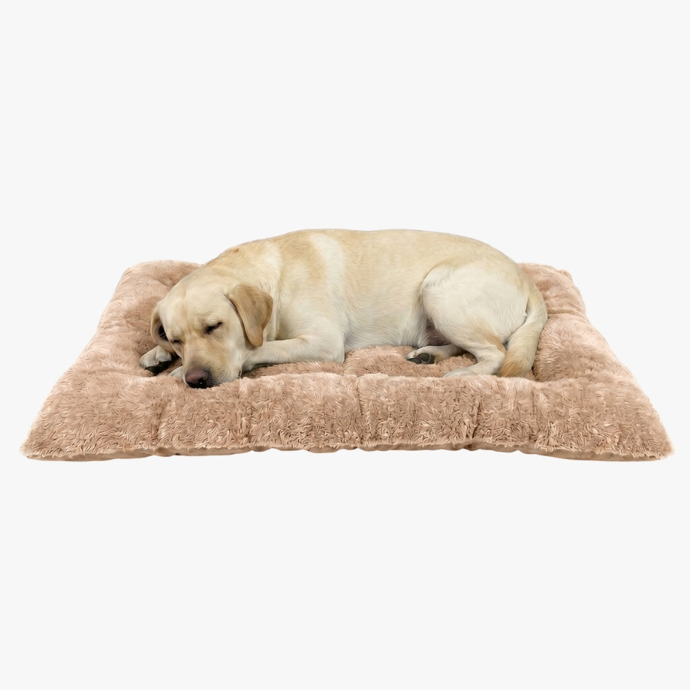 grand-coussin-pour-chien-moelleux-beige