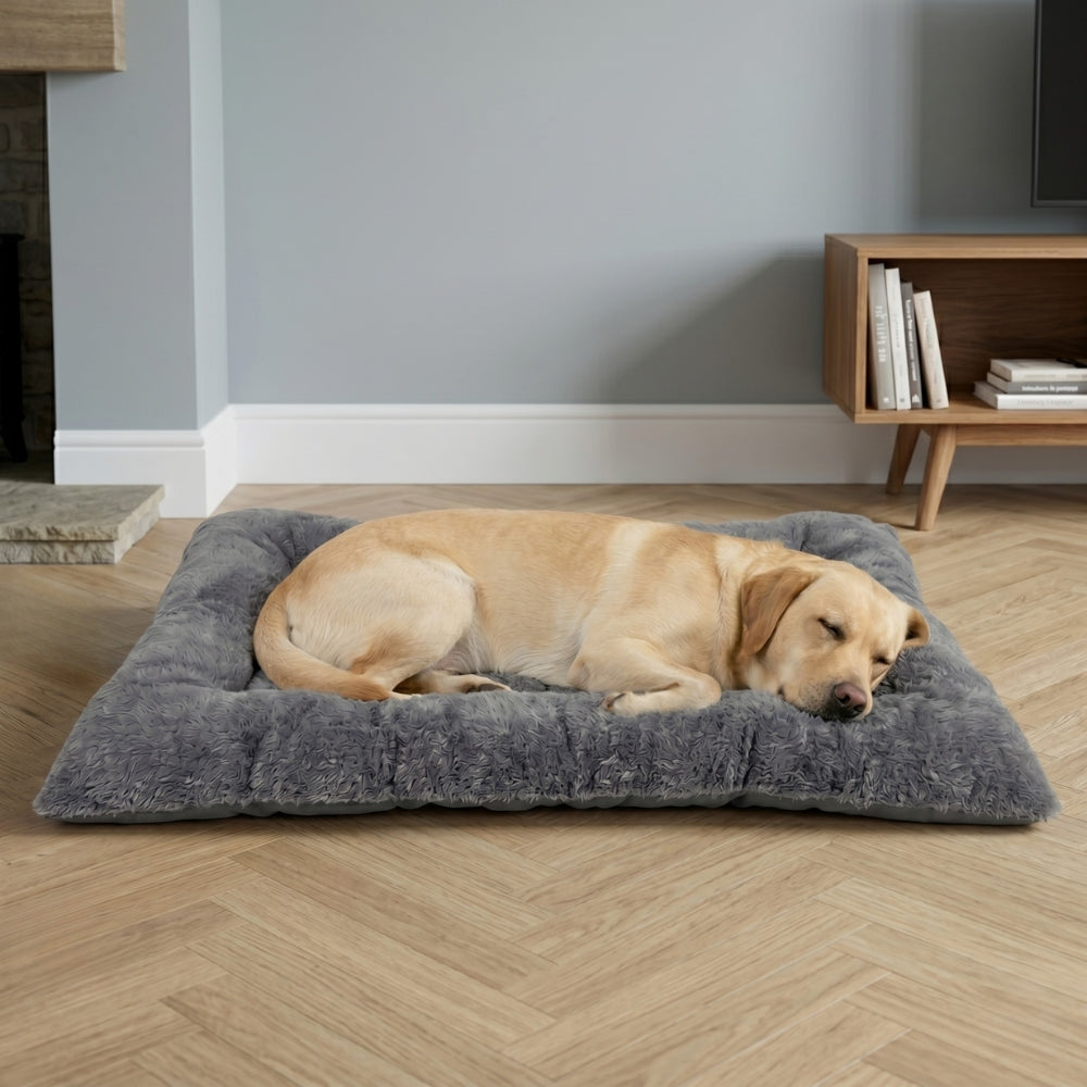 grand-coussin-pour-chien-moelleux-situation-2