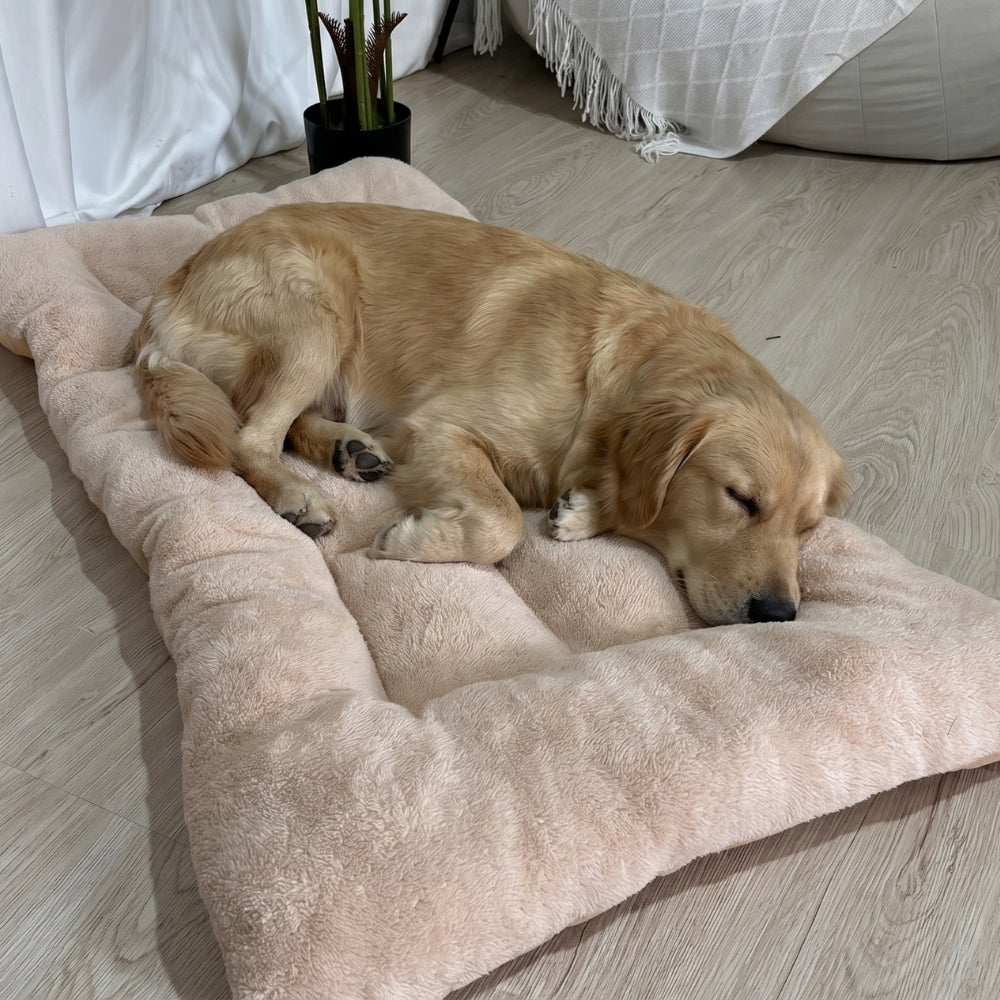 grand-coussin-pour-chien-moelleux-situation-beige
