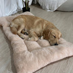 grand-coussin-pour-chien-moelleux-situation-beige