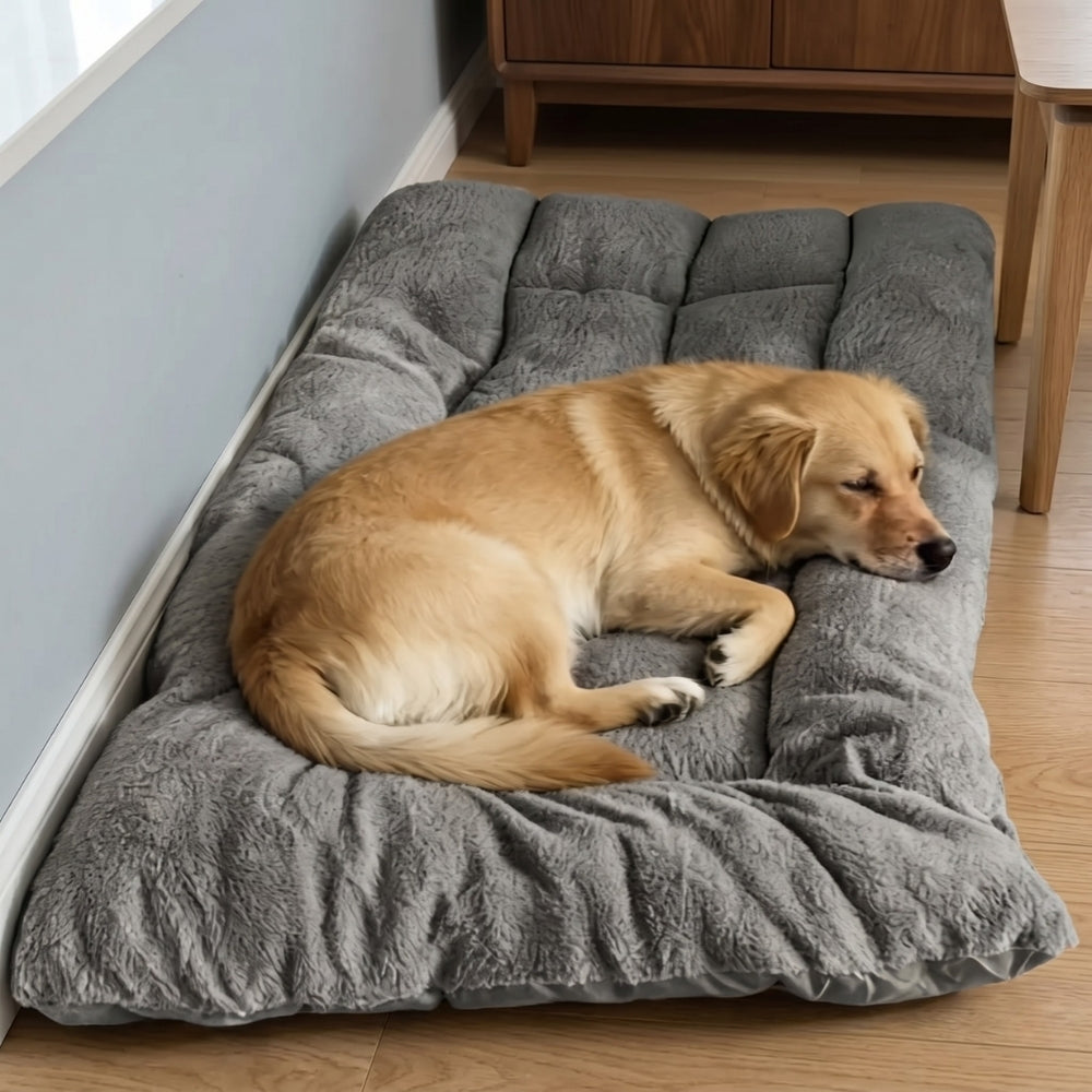 grand-coussin-pour-chien-moelleux-situation