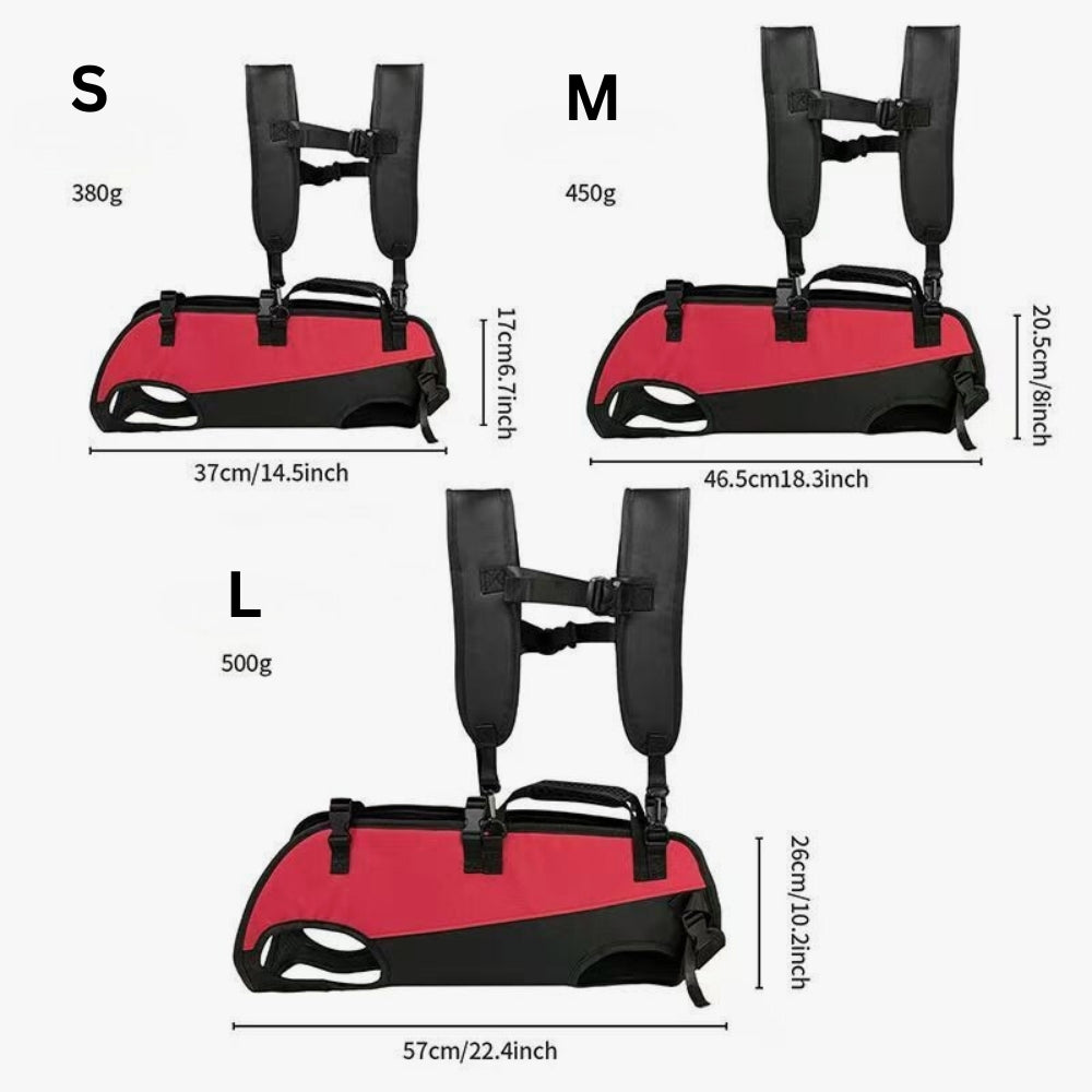 harnais-pour-chien-moto-dimensions