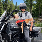 harnais-pour-chien-moto-nature