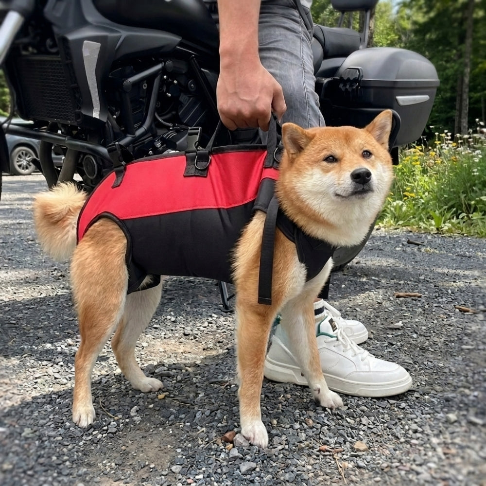 harnais-pour-chien-moto-poignee