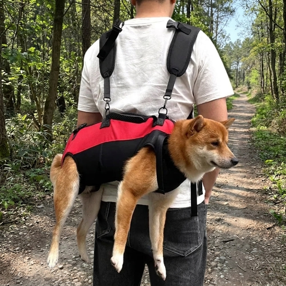 harnais-pour-chien-moto-sentier