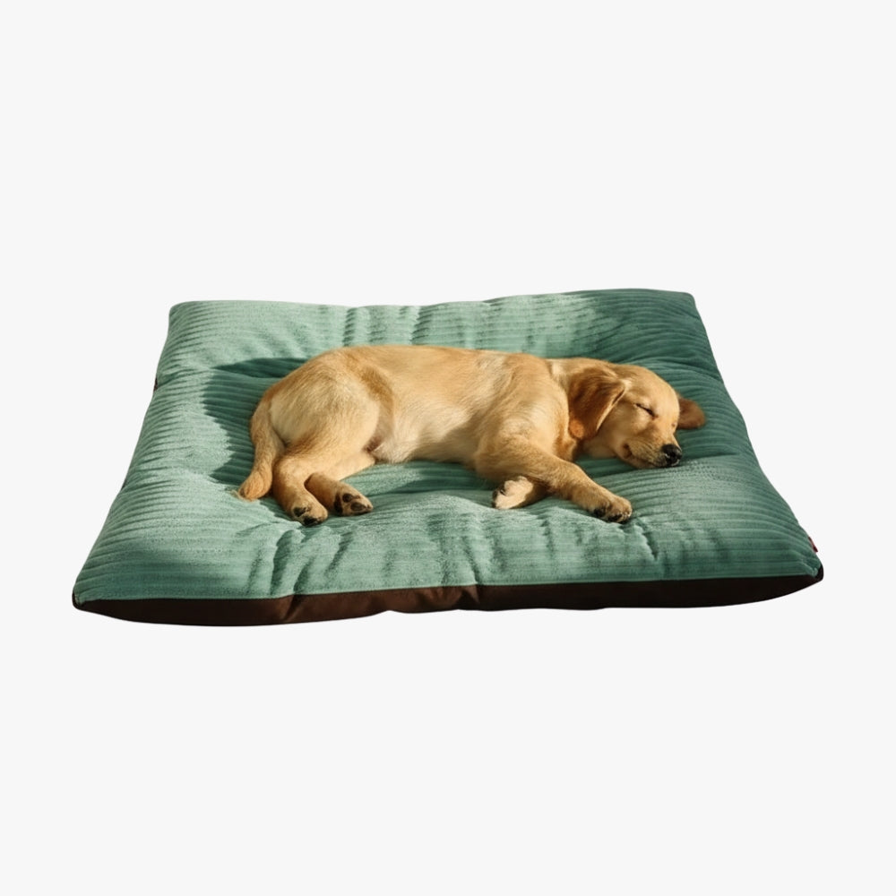 lit-pour-chien-en-velours-cotele-face