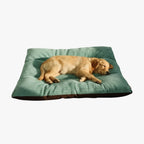 lit-pour-chien-en-velours-cotele-face