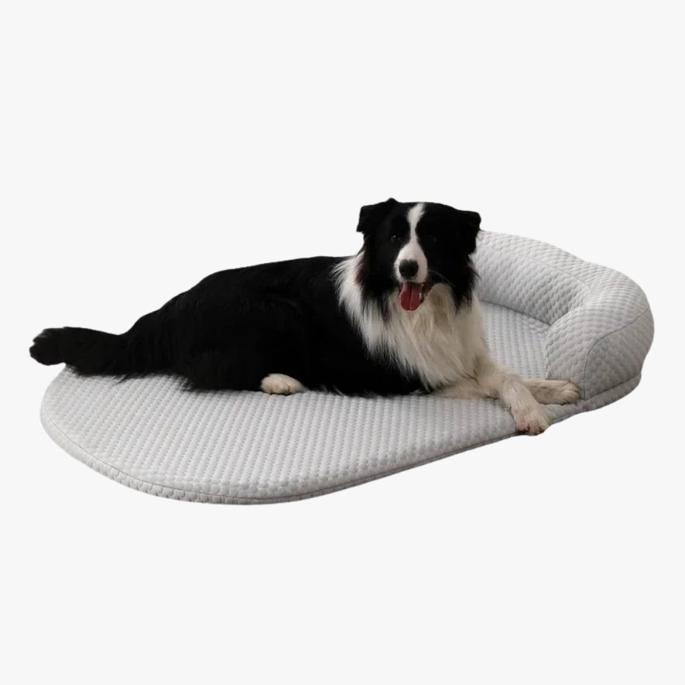 lit-rafraichissant-pour-chien-gris
