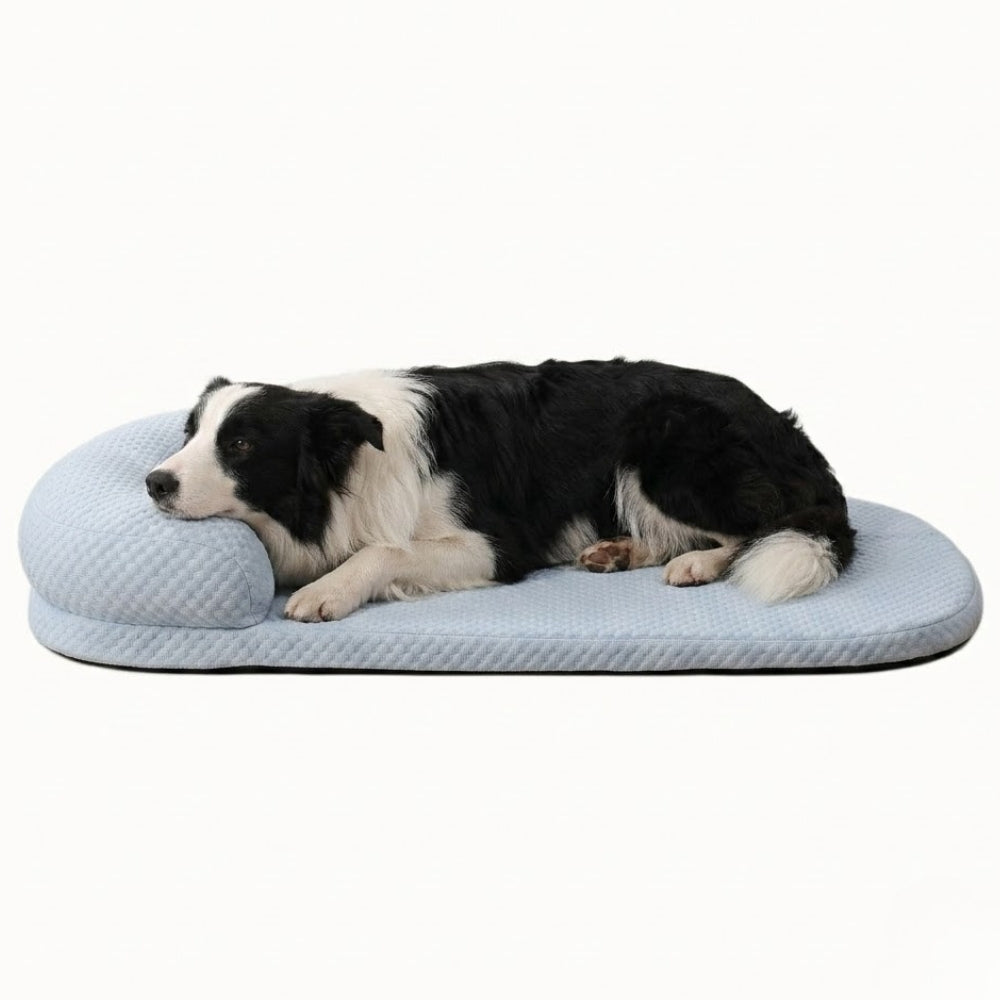 lit-rafraichissant-pour-chien-resistant-aux-morsures-bleu
