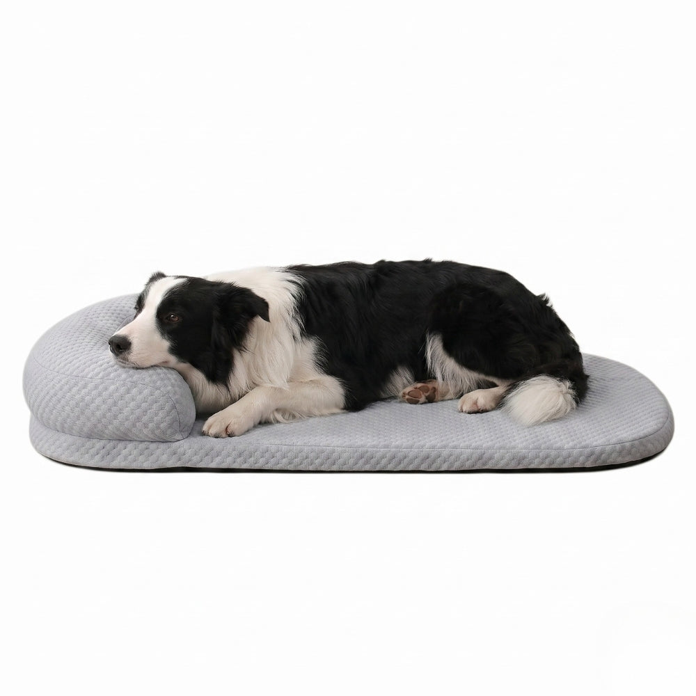 Lit Rafraîchissant pour Chien Résistant aux Morsures