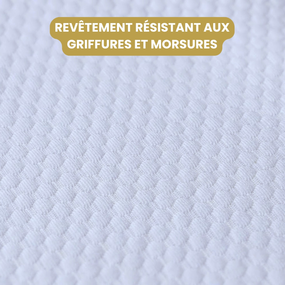 lit-rafraichissant-pour-chien-resistant-aux-morsures-revetement