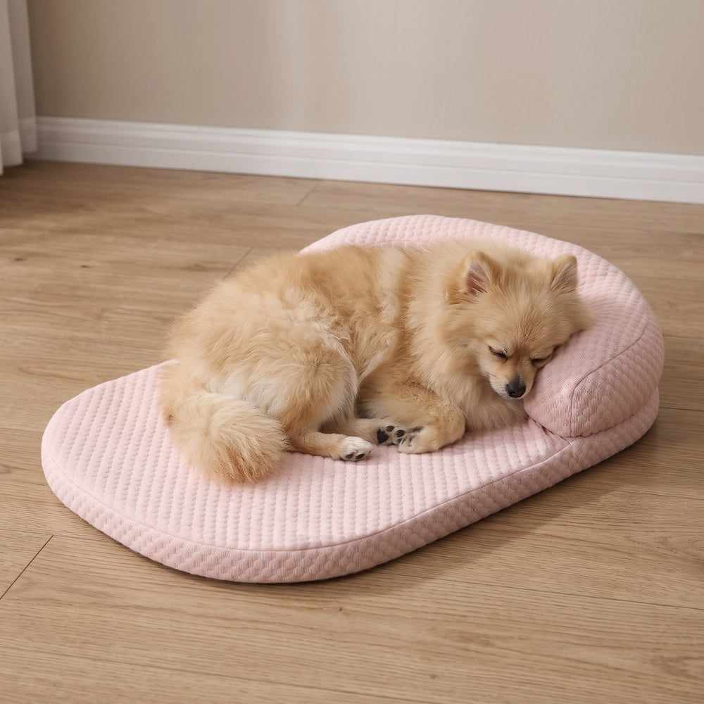 lit-rafraichissant-pour-chien-resistant-aux-morsures-situation-rose-petit