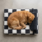 matelas-orthopedique-pour-chien-carreaux-avec-coussin-situation-dessus