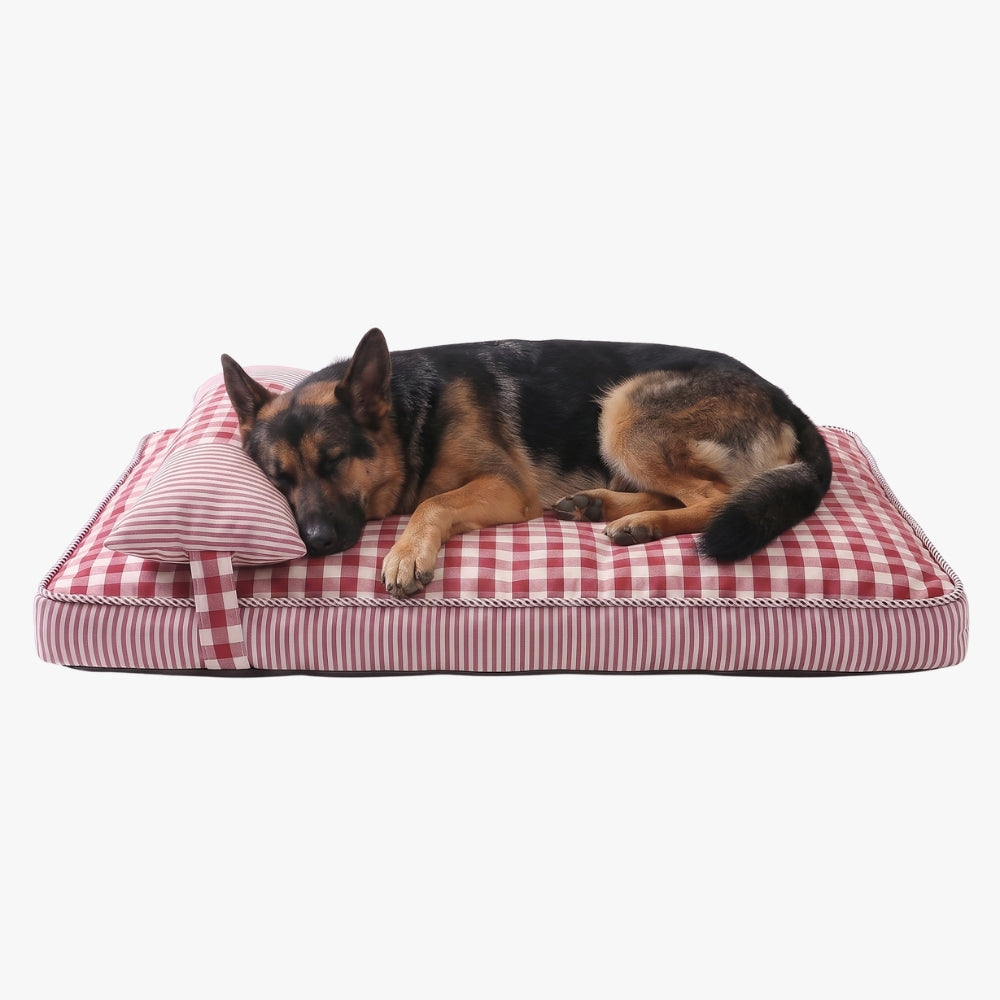 matelas-pour-chien-a-carreaux-avec-coussin-rouge