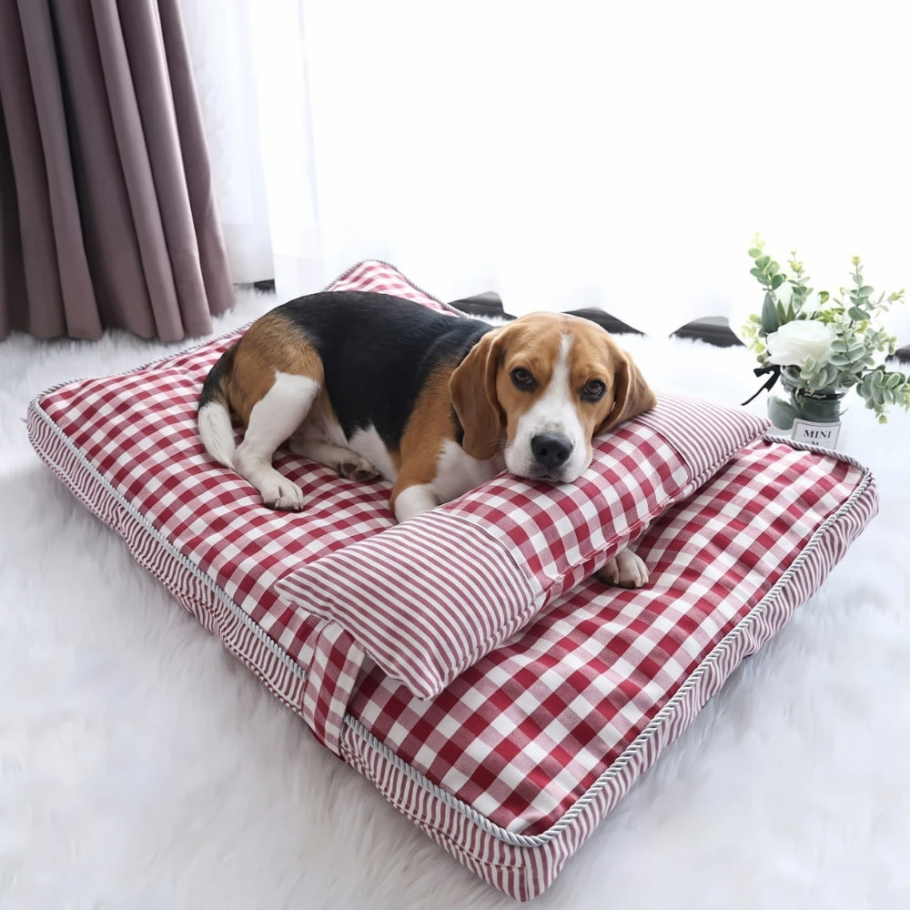 matelas-pour-chien-a-carreaux-avec-coussin-situation-moyen