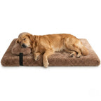 matelas-pour-chien-orthopedique-doux-avec-coussin-marron-clair