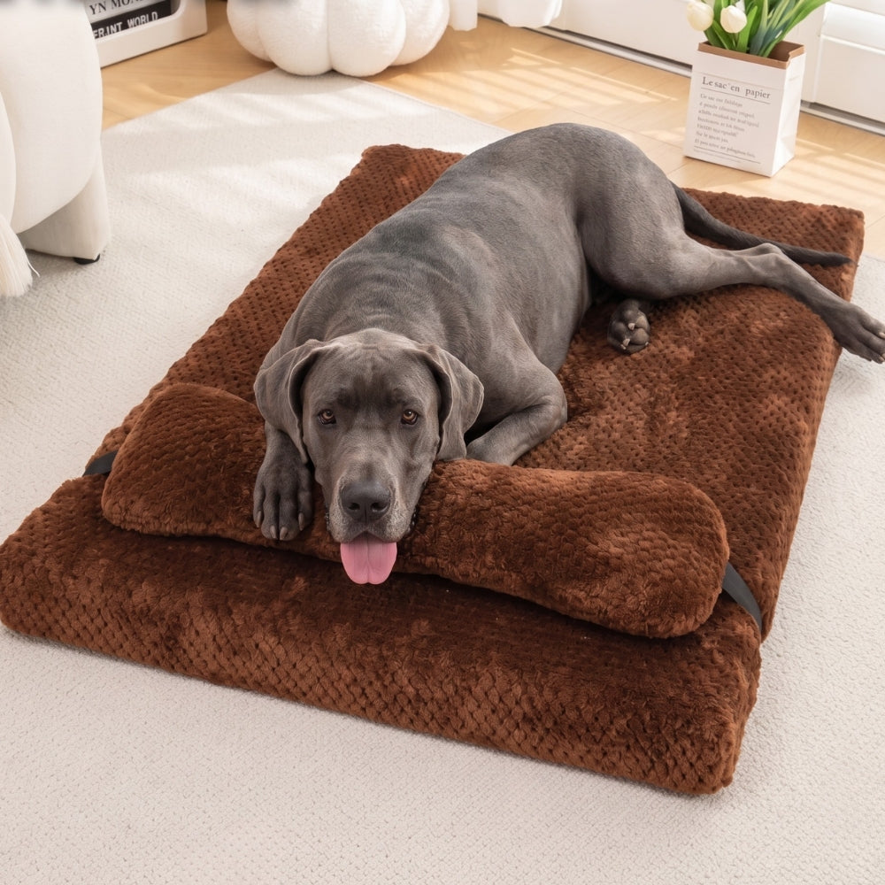 matelas-pour-chien-orthopedique-doux-avec-coussin-situation-grand