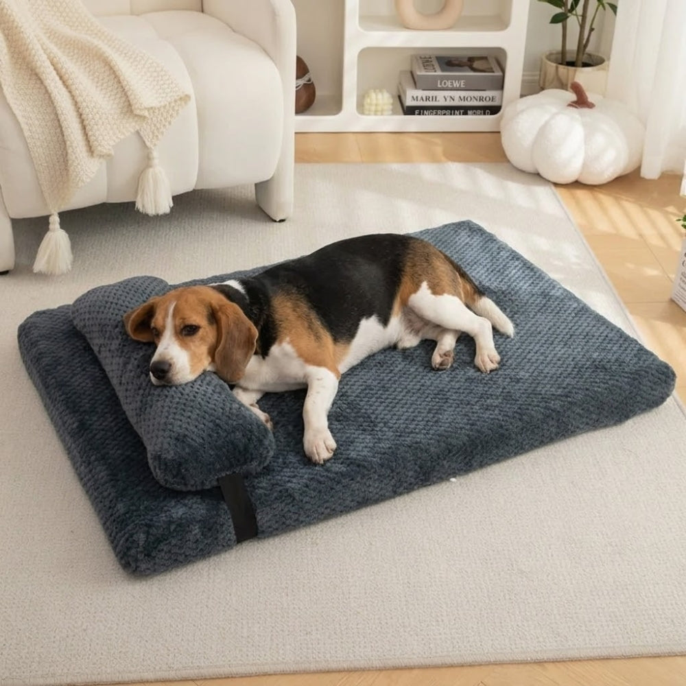 matelas-pour-chien-orthopedique-doux-avec-coussin-situation-moyen