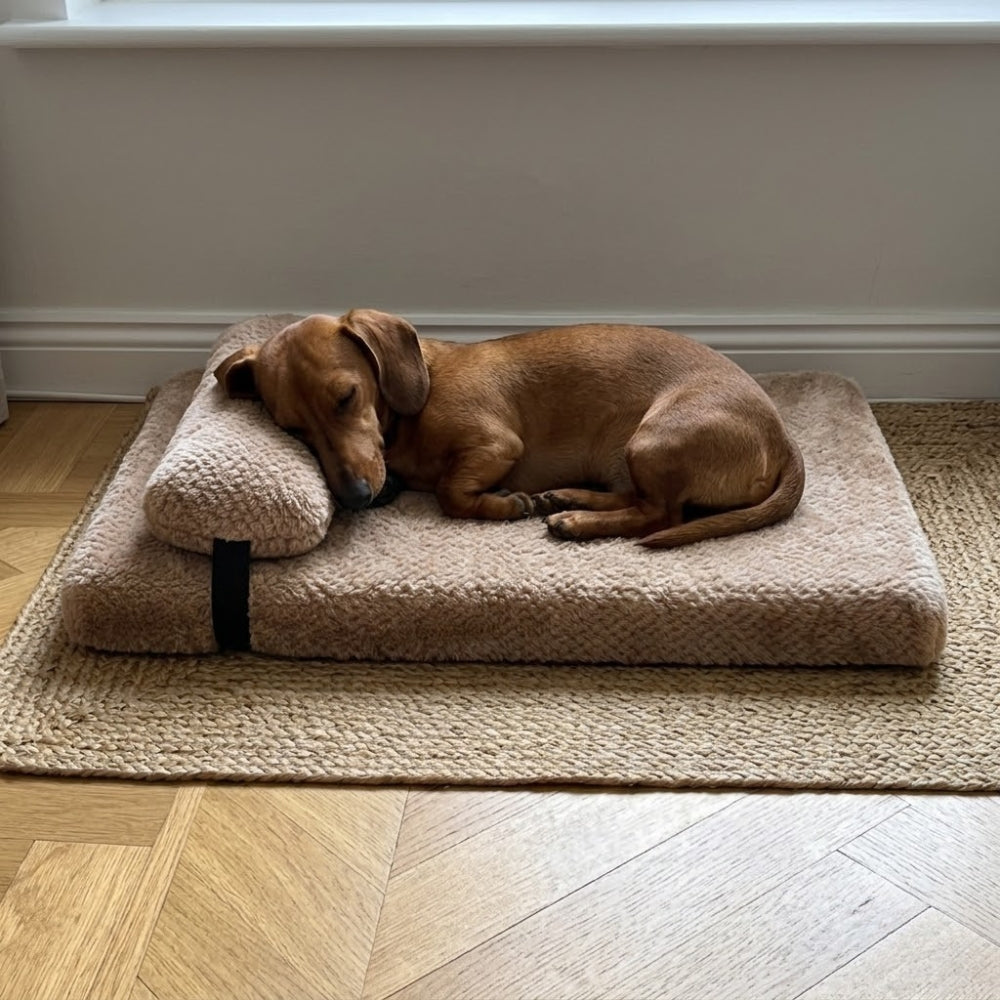 matelas-pour-chien-orthopedique-doux-avec-coussin-situation-petit