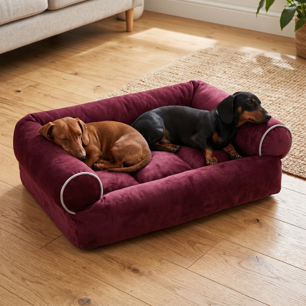 panier-canape-pour-chien-moelleux-en-coton-rouge-situation