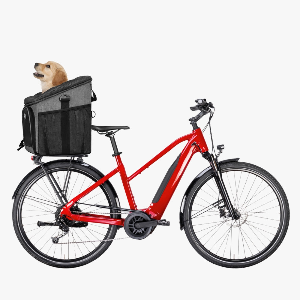 panier-de-velo-pour-chien-gris-arriere
