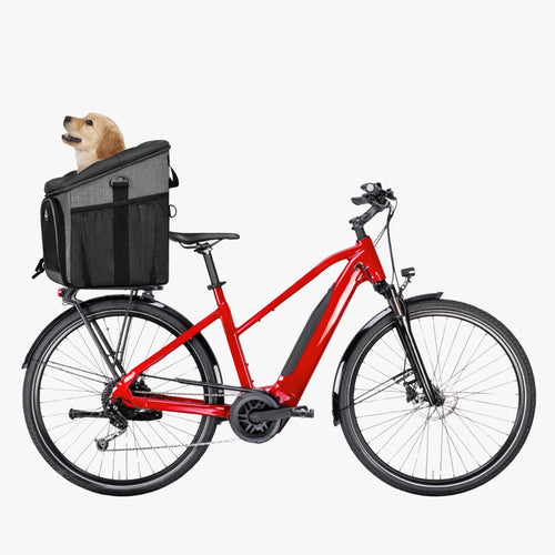 panier-de-velo-pour-chien-gris-arriere