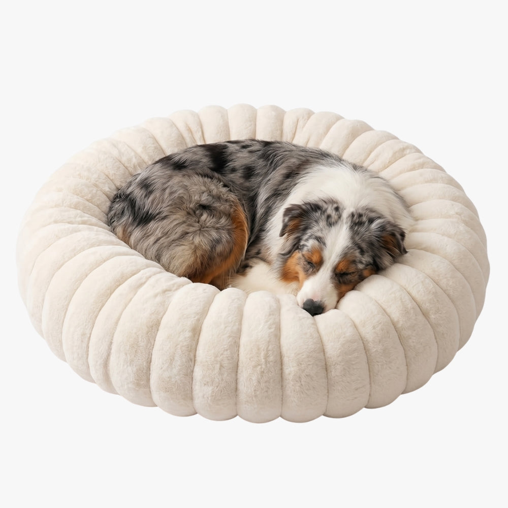 panier-donut-cotele-chien-blanc