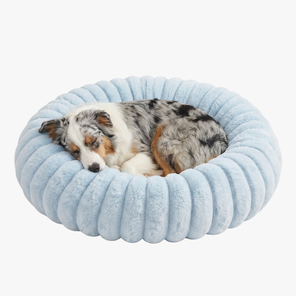 panier-donut-cotele-chien-bleu-clair